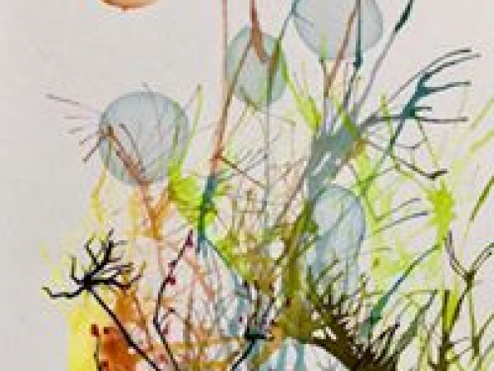 Archisio - Roberta Pizzorno - Progetto Arte naturale