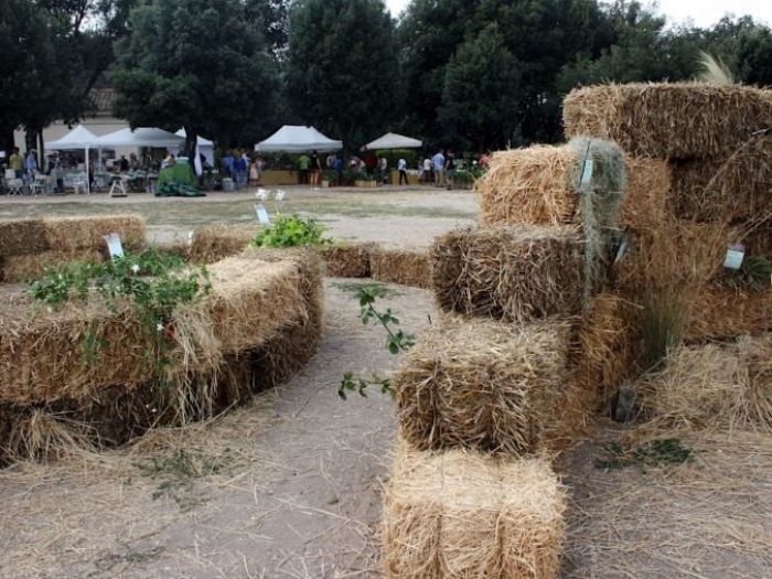 Archisio - Stefania Lorenzini Garden Designer - Progetto La conserva della neve 2014 parco dei daini villa borghese
