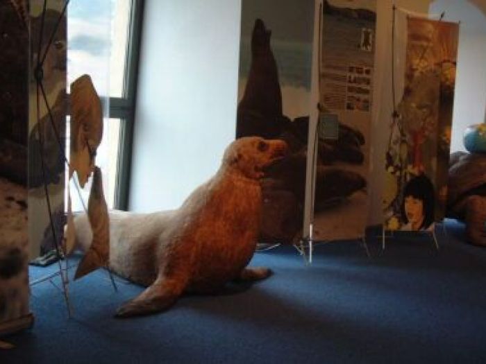 Archisio - Leolab - Progetto Minidarwin