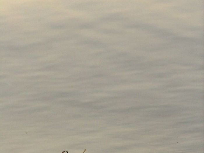 Archisio - Roberto Nangeroni Photographer - Progetto Natura