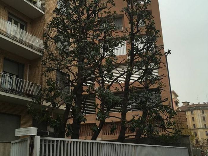 Archisio - I Giardini Dei Tudor - Progetto Tree climbing