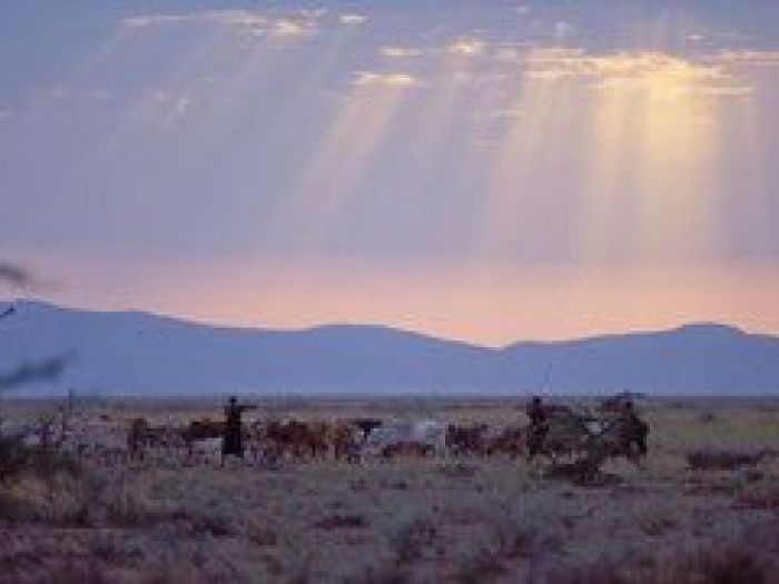 Archisio - Nico Marziali - Progetto Lucca e africa