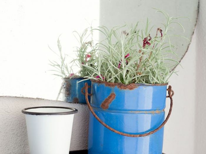 Archisio - Giacomo Ciolfi - Progetto Podere sanbartolomeo capraia e limite - firenze