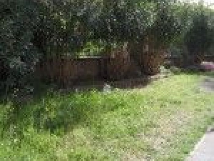 Archisio - Mageris srl - Progetto Pulizie giardini via casilina