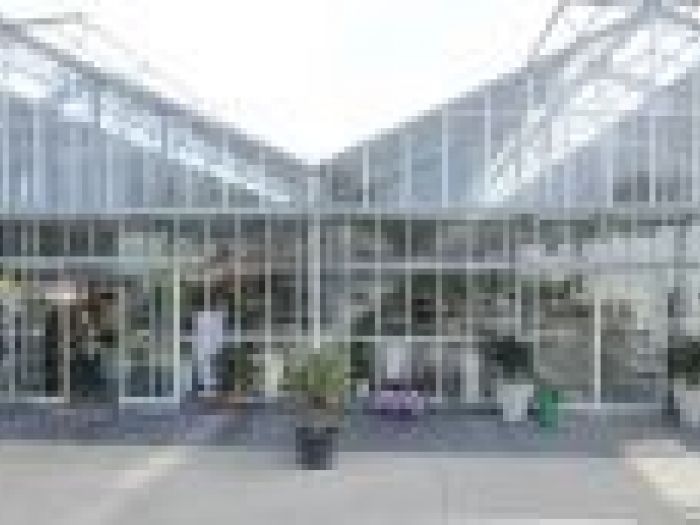 Archisio - Piante Macri - Progetto Il garden