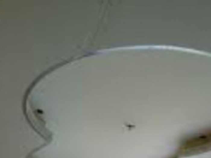 Archisio - Edile Pavimenti - Progetto Ristrutturazione interni