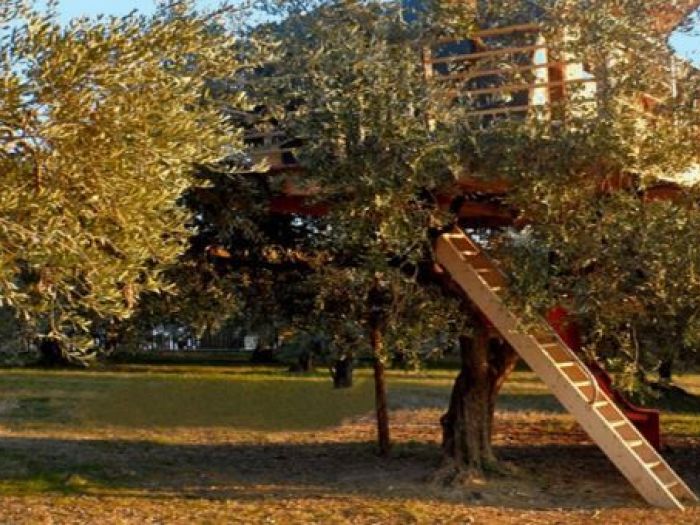 Archisio - Casalberi - Progetto La casa nelloliveto