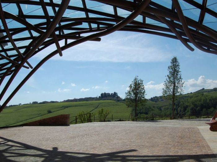 Archisio - Dario Castellino - Progetto Spazi espositivi