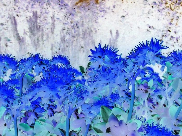 Archisio - Gianluca Vetrugno Meltem Kosan the Art Of The Negative - Artisti - Progetto Galleria 1 fotografie astratte