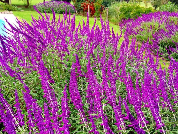 Archisio - Claudia Dibbe Piazza - Progetto Storica dellarte ed ingegnere agronomo Paesaggismo e home decor counselling