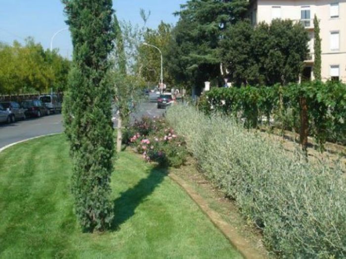 Archisio - Open Space Projects - Progetto Rotatoria pza lamarmora