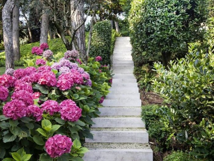 Archisio - Womarchitettura - Progetto Piscina lg