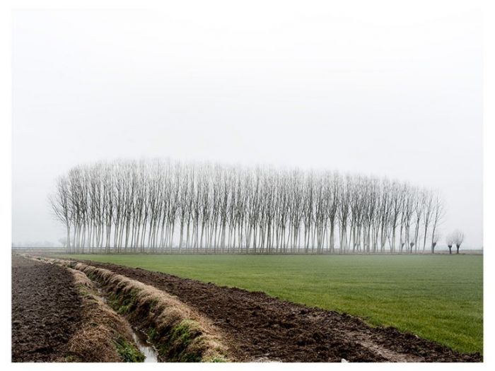 Archisio - Marco Tacchini Fotografo - Progetto Homeland