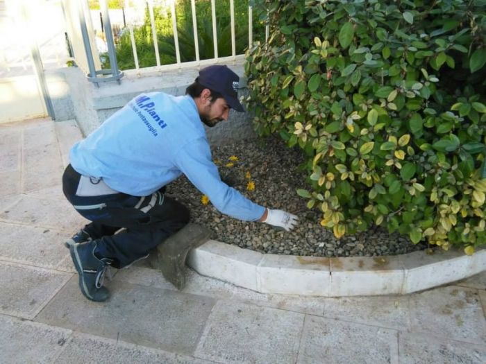 Archisio - Mp Impianti - Progetto Impianti elettrici sul suolo pubblico