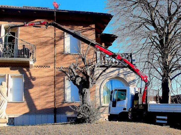 Archisio - Orangeri - Progetto Ringhiere cancelli ferro battuto arredi e pergole