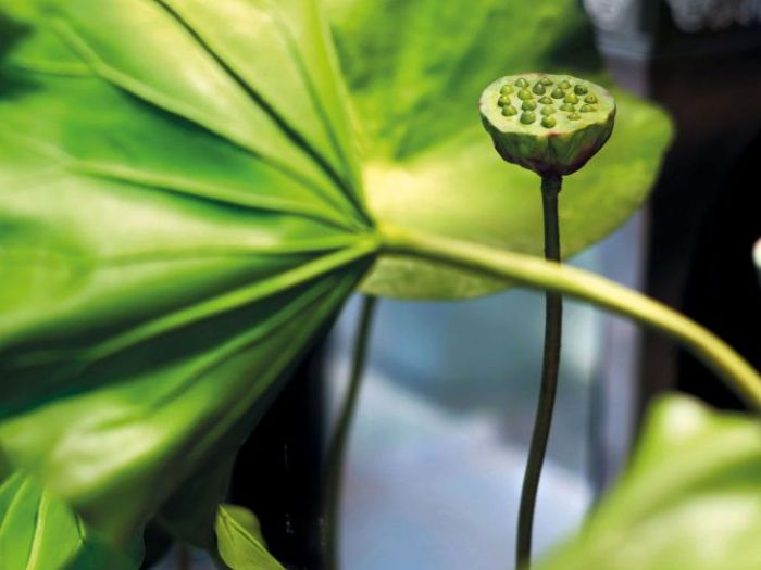 Archisio - Jupiter International srl - Progetto Set arrangement - composizioni floreali