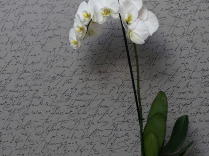 Archisio - Stefania Chiarenza E Barbara Alongi - Progetto Scritte in mansarda