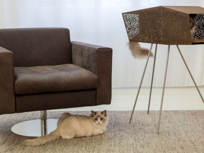 Archisio - Brandodesign - Progetto La cuccia tunnel