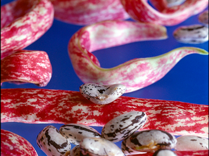 Archisio - Patrizia Savarese - Progetto Fotografia