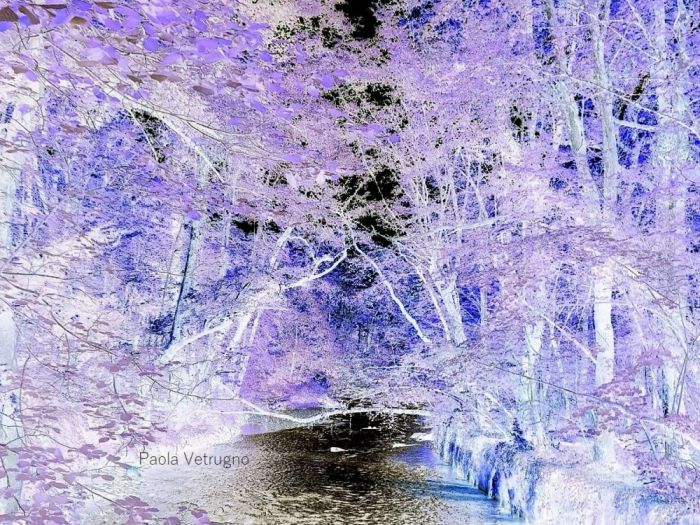 Archisio - Gianluca Vetrugno Meltem Kosan the Art Of The Negative - Artisti - Progetto Galleria 2 paesaggi