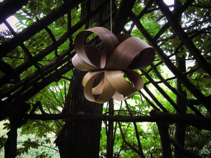 Archisio - Daniele Balangero Balume - Progetto Papillon