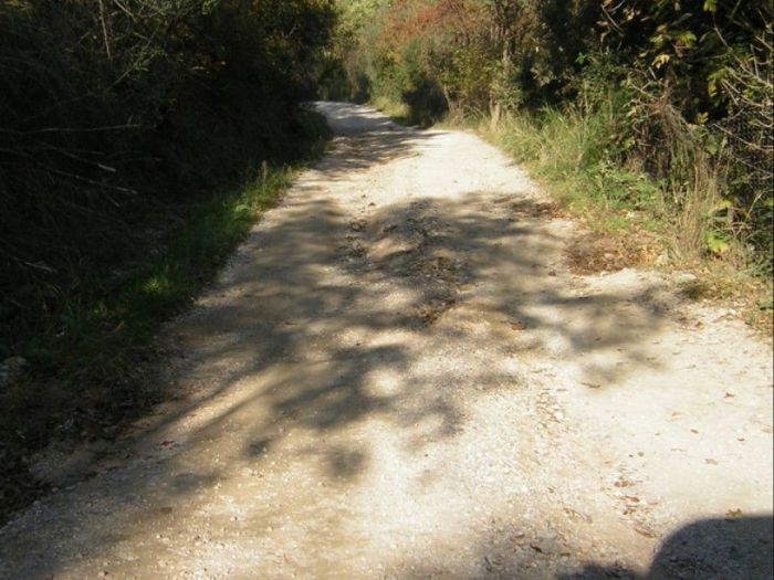 Archisio - Fgs Project Stp Sas - Progetto Strada ruderi di roselle