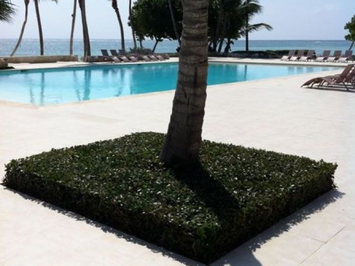 Archisio - Carlo Maria Maggia - Progetto Giardini