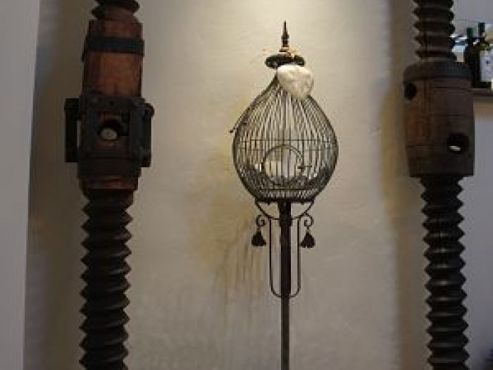 Archisio - Maria Balboni - Progetto Ristrutturazioni interni