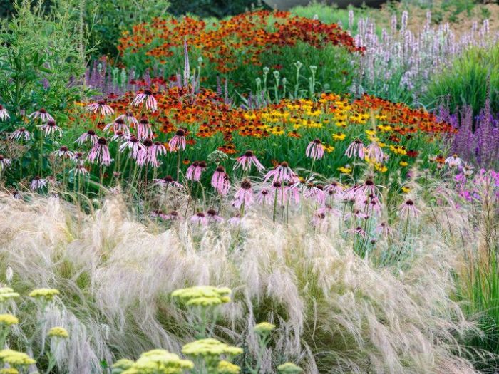 Archisio - Claudia Dibbe Piazza - Progetto Allinsegna di piet oudolf