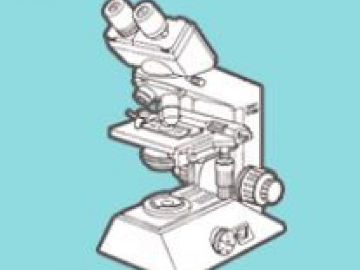 Archisio - Hampton Disinfestazioni - Progetto Bonifica legionella