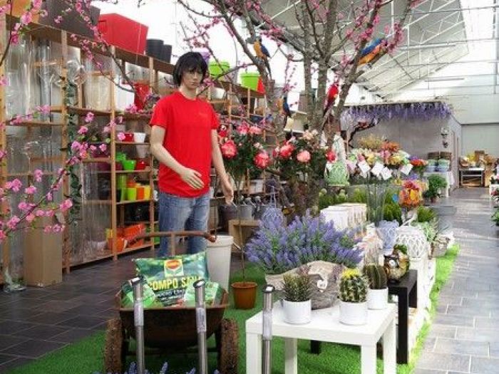 Archisio - Piante Macri - Progetto Il garden