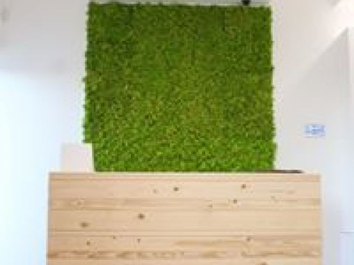 Archisio - Arch Chiara Mirra - Progetto Elisme