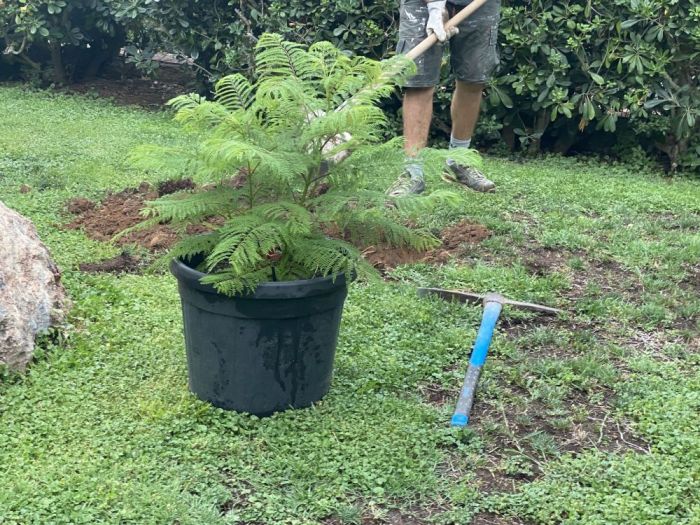 Archisio - Claudia Dibbe Piazza - Progetto Villa bianca