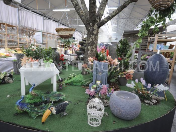 Archisio - Piante Macri - Progetto Il garden