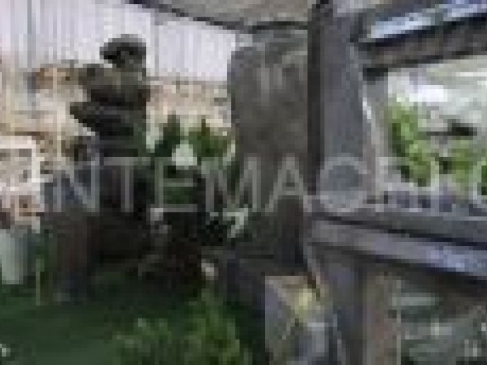 Archisio - Piante Macri - Progetto Il garden