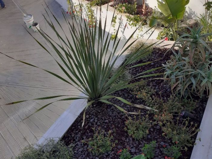 Archisio - Mani Srl Ristrutturazini - Progetto Fioriere in muratura roma zona casalpalocco