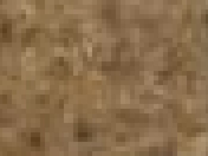 Archisio - Payanini The Stone Brand - Progetto Payanini