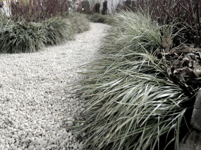 Archisio - Lucia Panzetta - Progetto Il giardino dei semplici