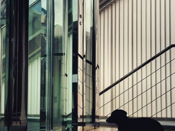 Archisio - Mariani Design - Progetto Casa contemporanea