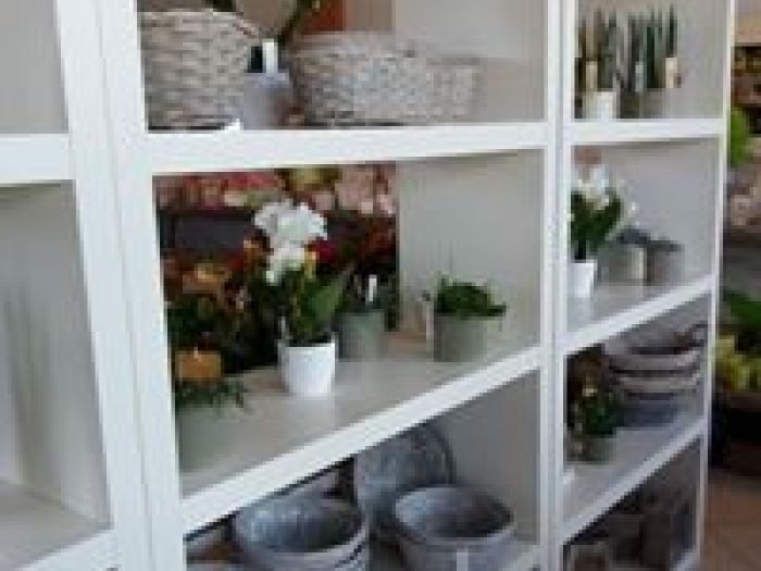 Archisio - Vivai Flli Zanella Srl Antica Sede - Progetto Oggettistica