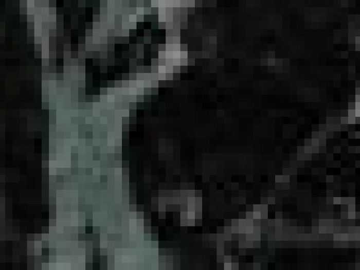 Archisio - Payanini The Stone Brand - Progetto Payanini