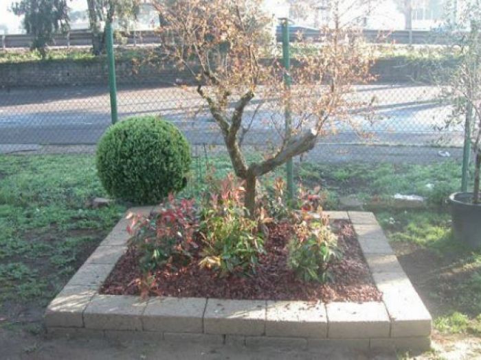 Archisio - Open Space Projects - Progetto Sistemazione vivaio