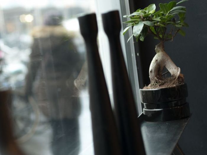 Archisio - Design Project - Progetto Casa sabatelli