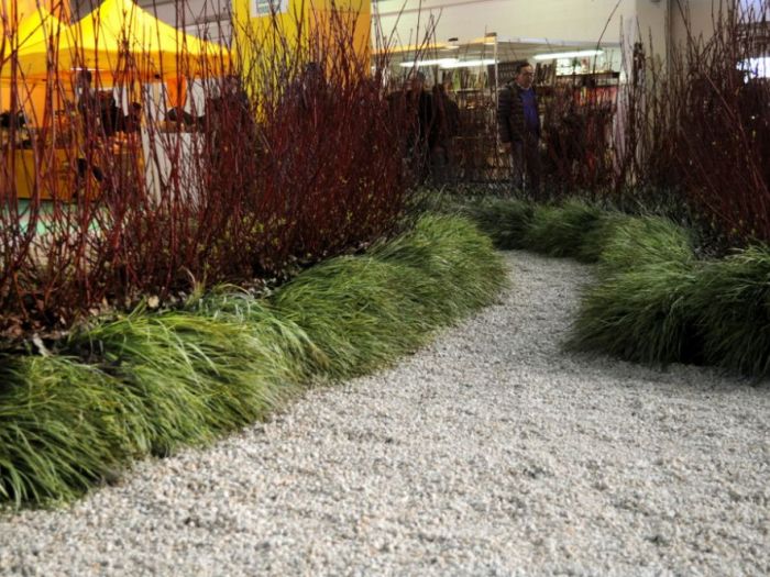 Archisio - Lucia Panzetta - Progetto Il giardino dei semplici