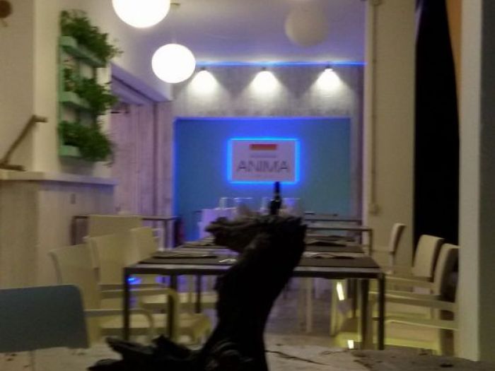 Archisio - Roberto Bardelli - Progetto Bar ristorante e discoteche