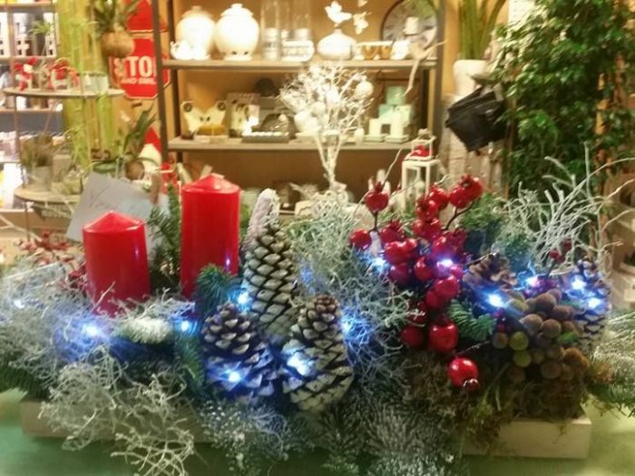 Archisio - Massarroni - Vivai Piante - Garden - Progetto Vivai e piante