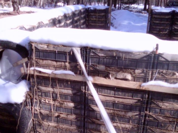 Archisio - Luxurysign - Progetto Charity