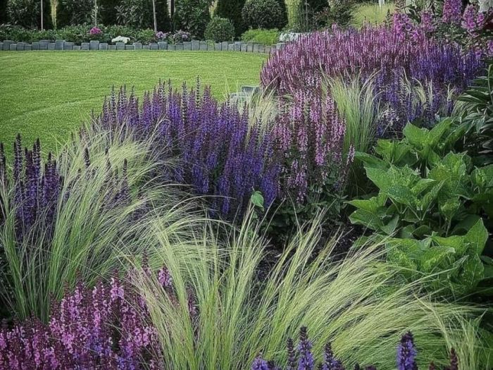 Archisio - Claudia Dibbe Piazza - Progetto Allinsegna di piet oudolf