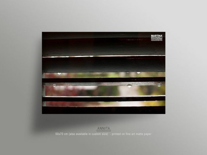 Archisio - Martina Ridondelli - Progetto Annita