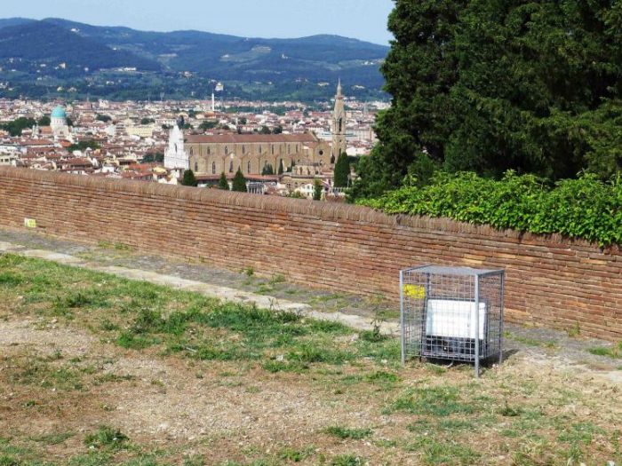 Archisio - Zeno Pucciarchitects - Progetto Mostra prospettiva vegetale giuseppe penone